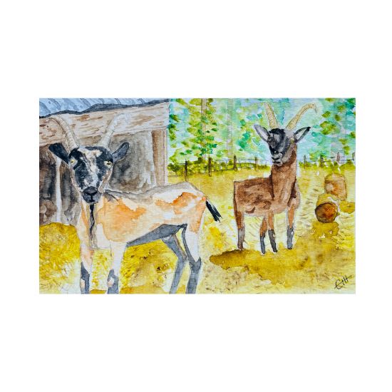 Custom Watercolour