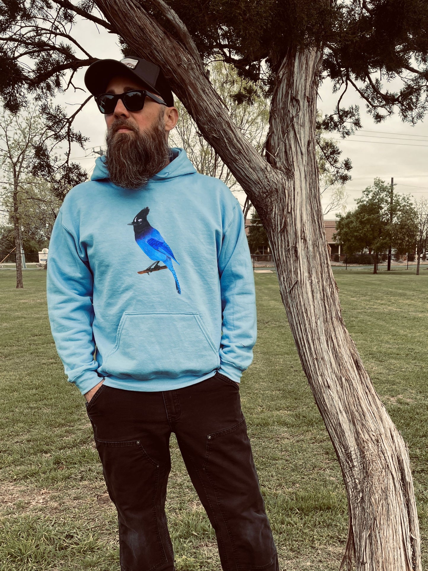 Steller's Jay Hoodie: Sicamous
