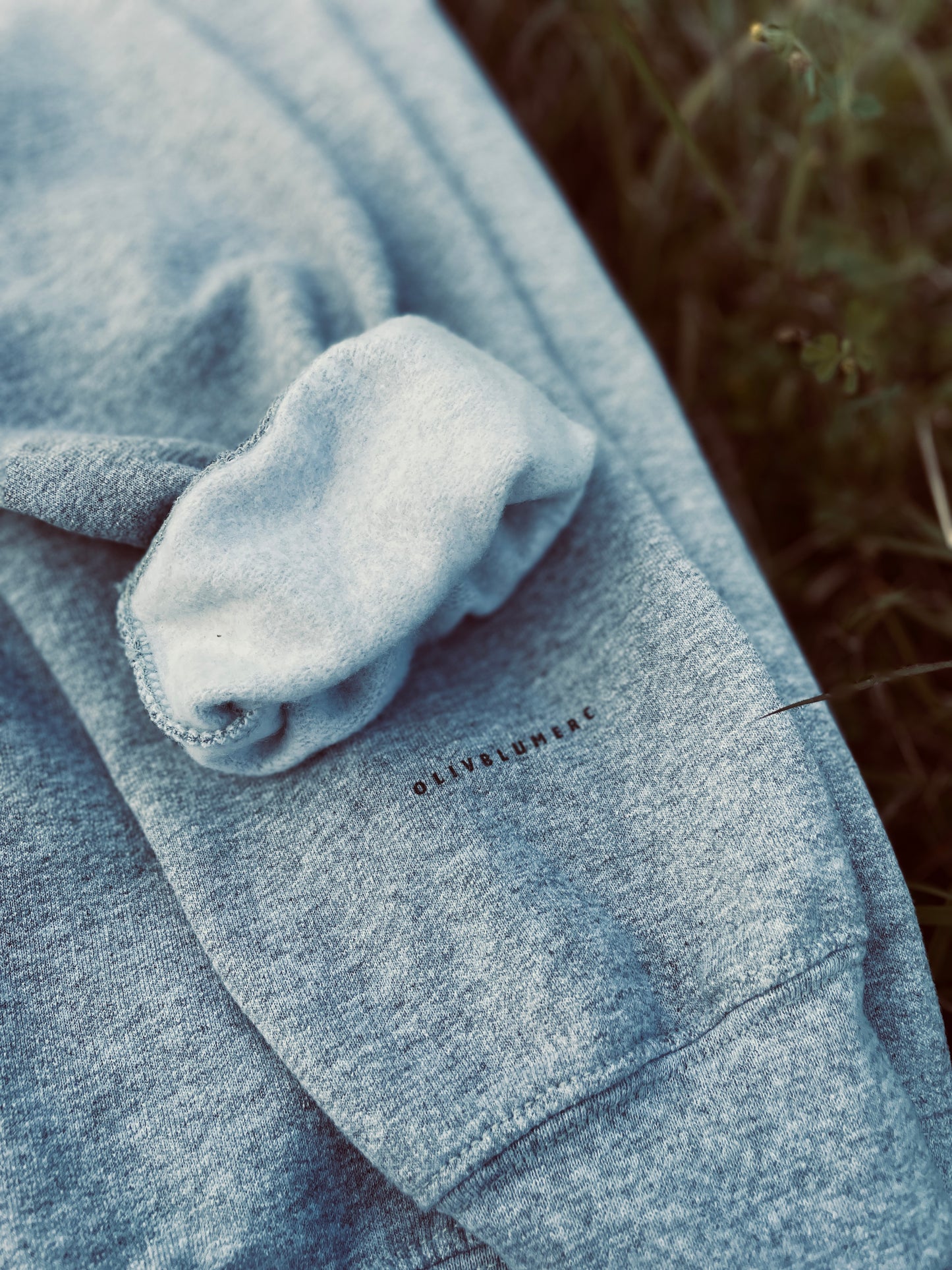 Loon Sweatshirt: Lennox