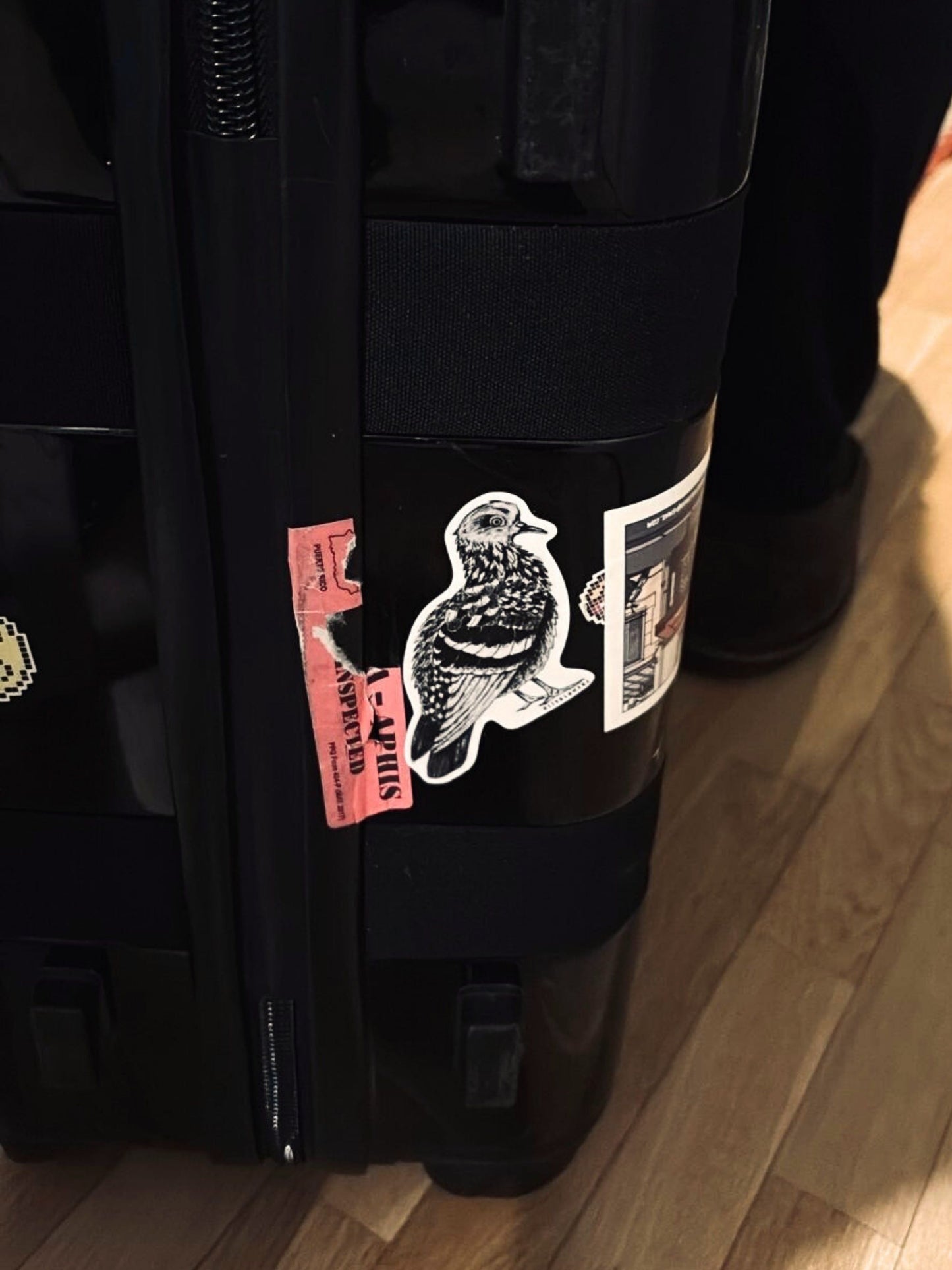 Pigeon Sticker: Abigale