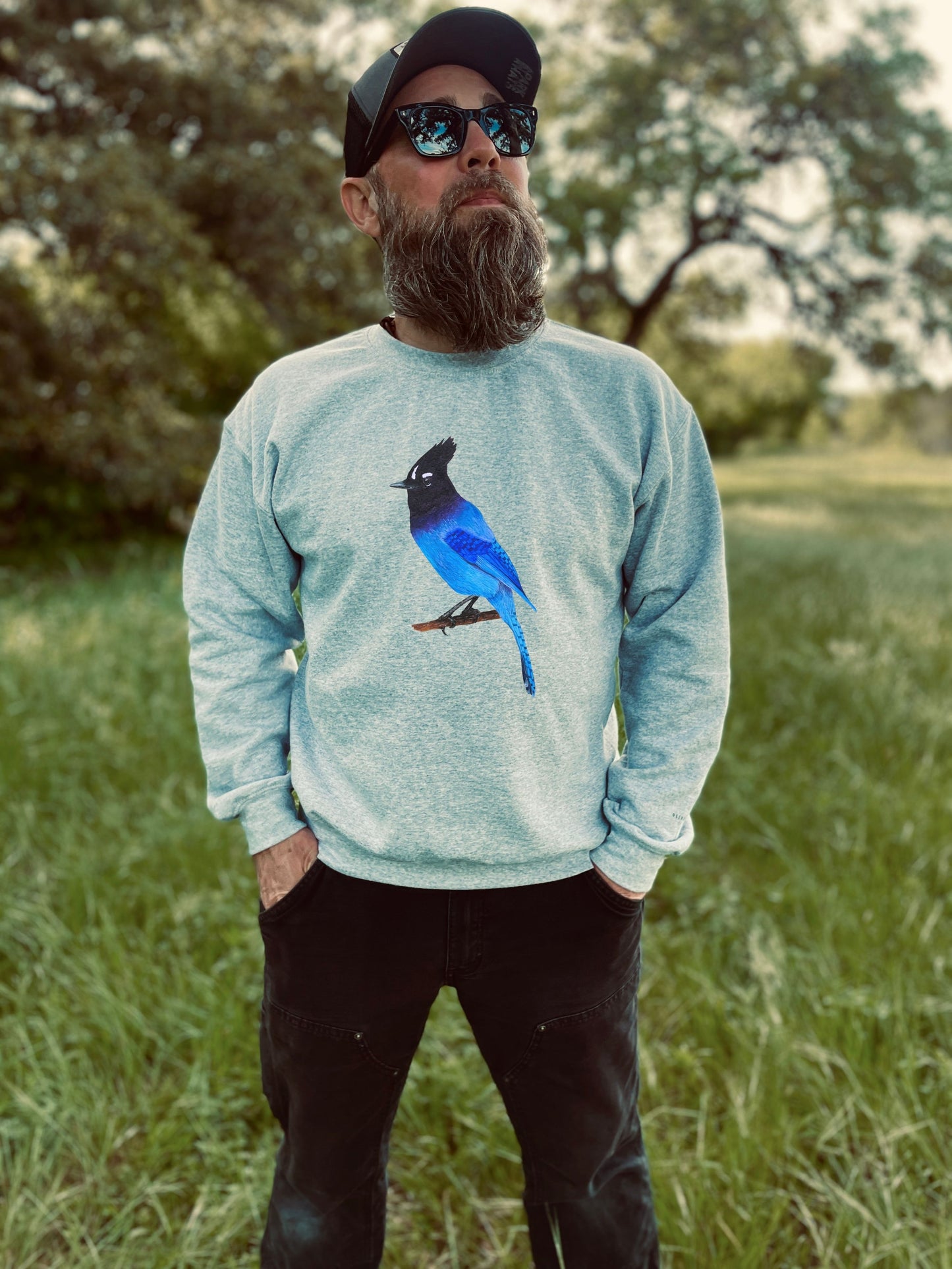 Steller's Jay Sweatshirt: Sicamous