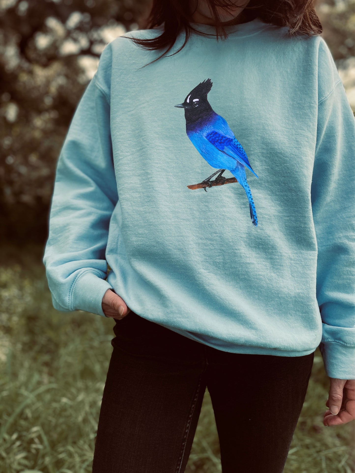 Steller's Jay Sweatshirt: Sicamous