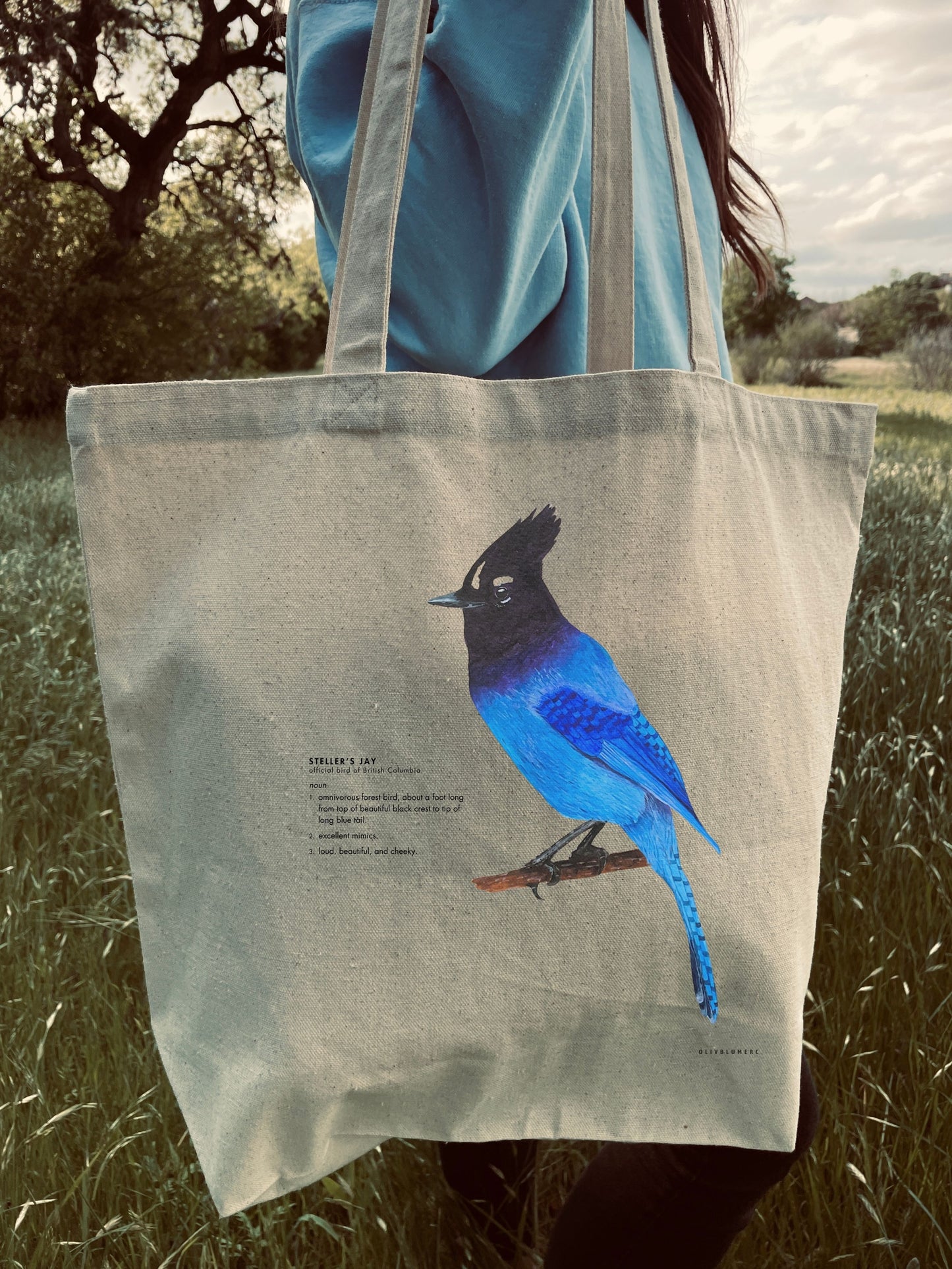 Steller's Jay Tote: Sicamous