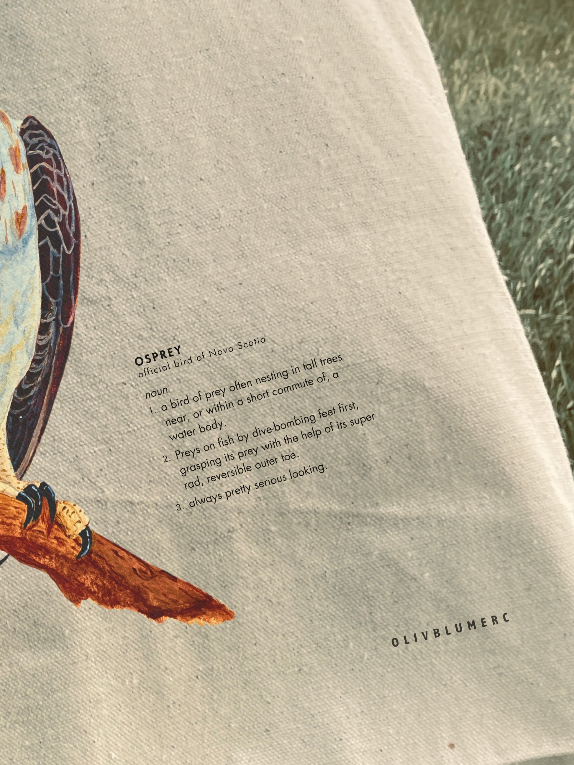 Close up of somewhat serious, somewhat funny, osprey definition on a 100% cotton tote bag