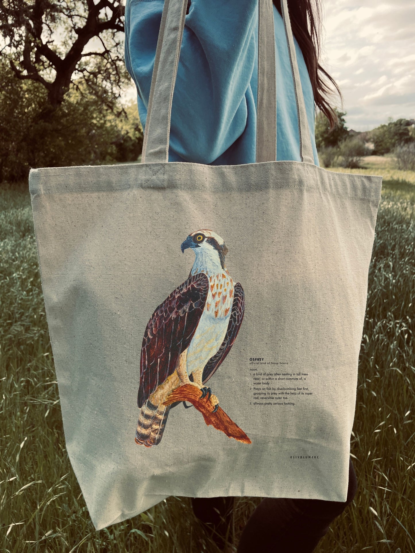 100% cotton tote bag featuring a print of a painted osprey illustration with a humorous definition on the front