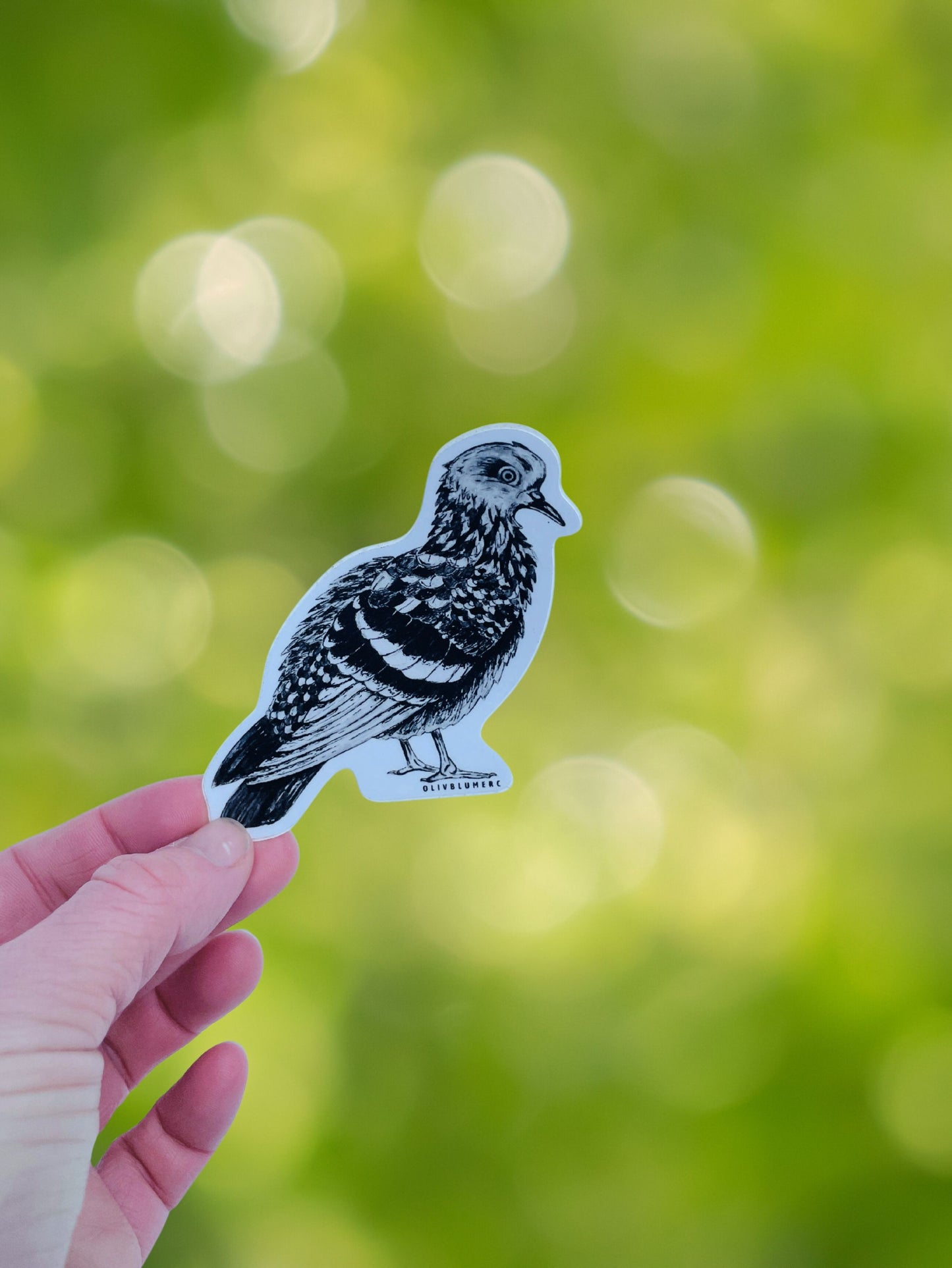 Close-up of pigeon bird sticker showing illustrated feather details.