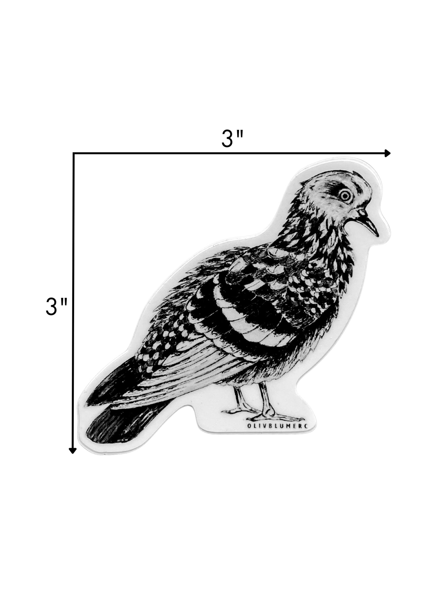 detailed illustration of a pigeon bird on a vinyl sticker showing dimensions of 3 inches by 3 inches.