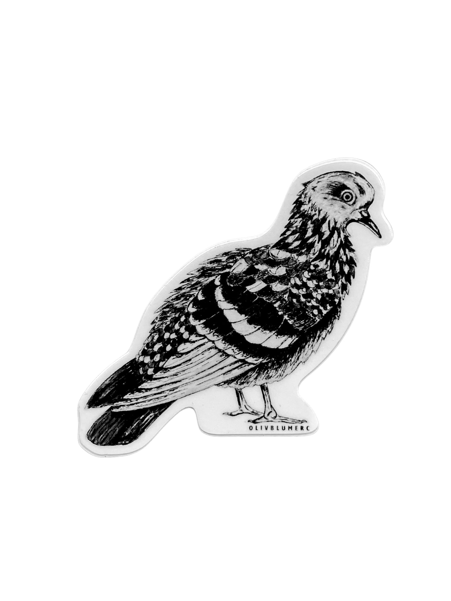 illustrated pigeon bird sticker