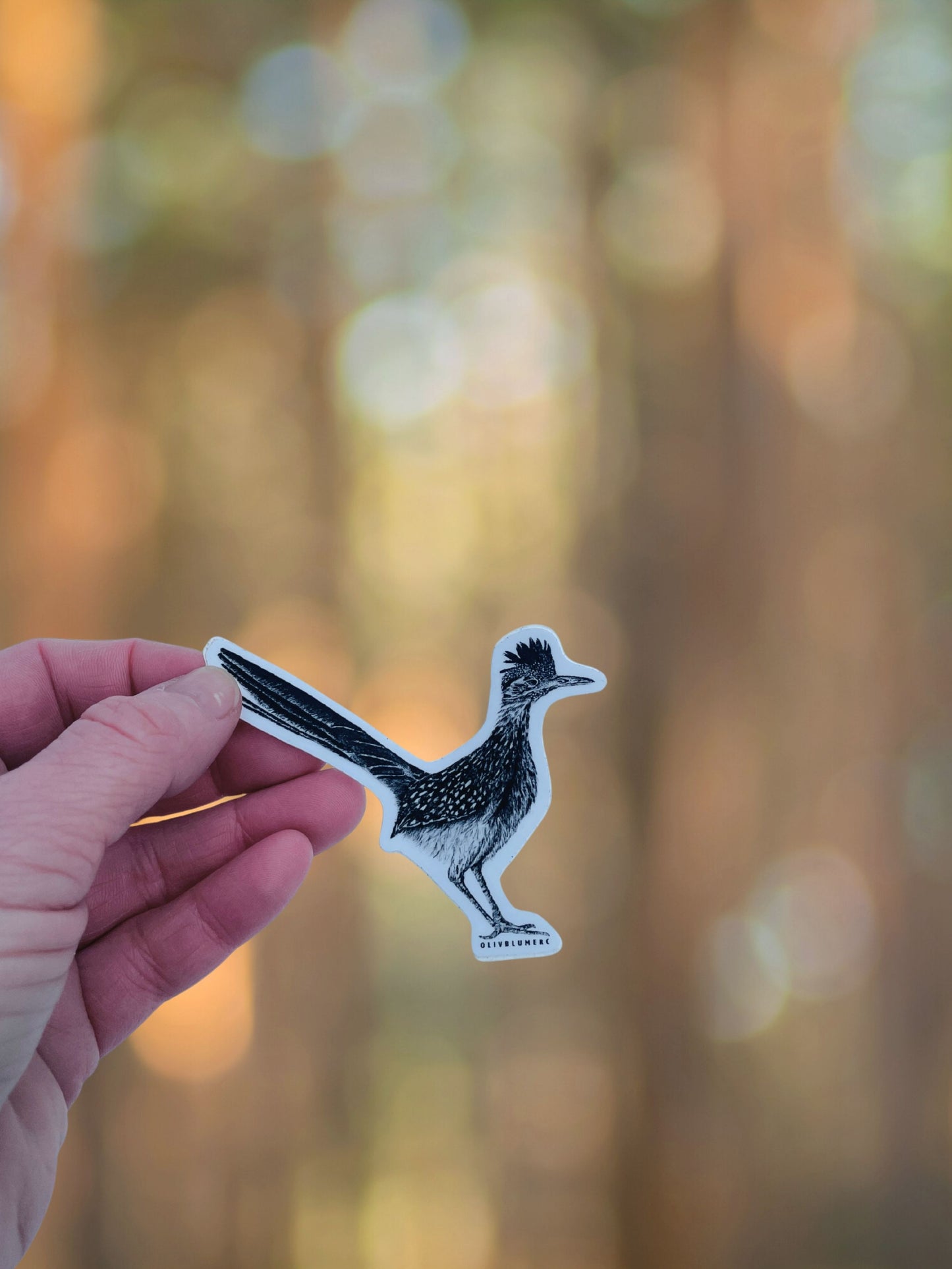 Close up of a roadrunner bird sticker showing illustrated feather details.