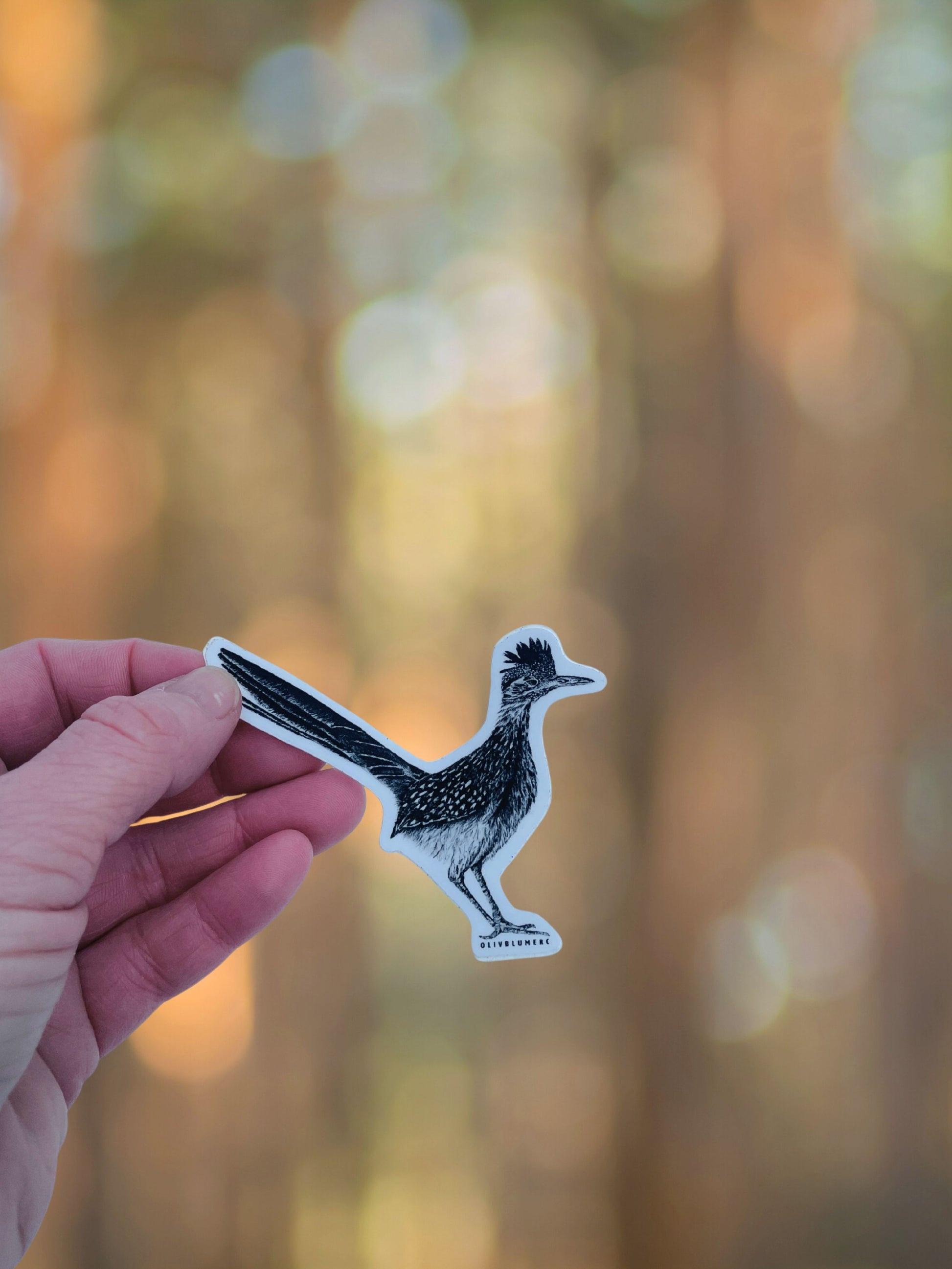 Close up of a roadrunner bird sticker showing illustrated feather details.