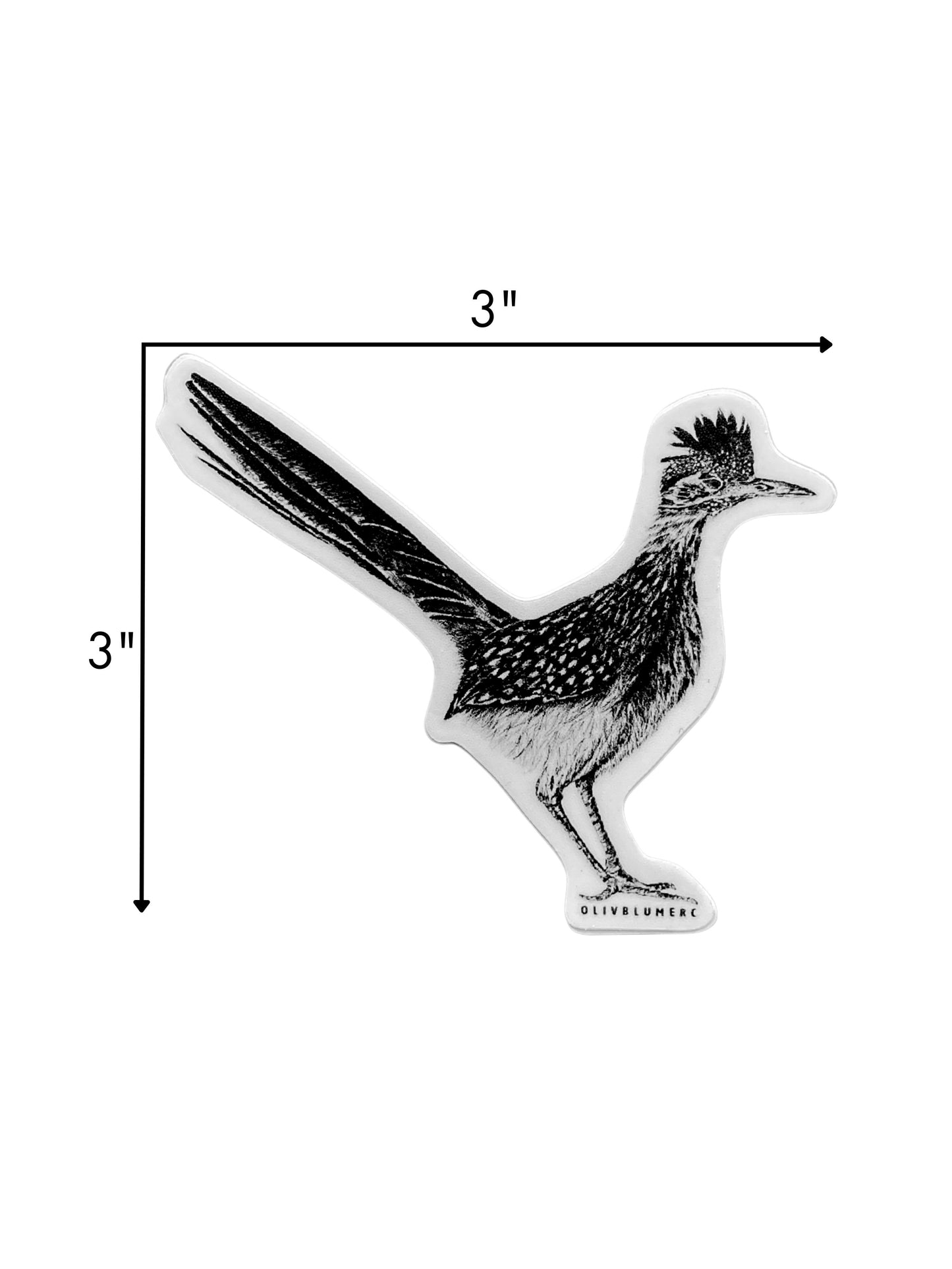 illustrated roadrunner bird inspired by desert wildlife sticker showing dimensions of 3 inches by 3 inches.
